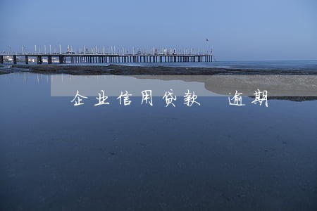 企业信用贷款 逾期 企业信用贷款 逾期